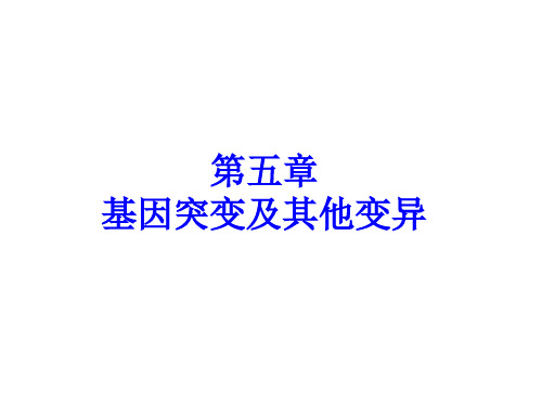 人教版高一生物必修二5.1 基因突变