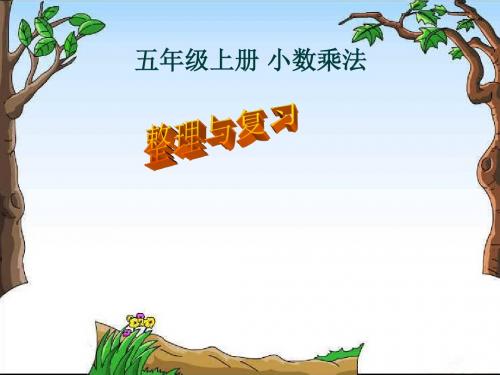 人教版五年级数学上册第一单元小数乘法的整理与复习ppt