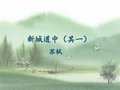 新城道中.PPT