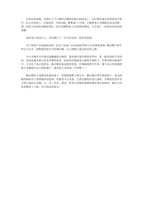 (青少年心灵成长直通车)启迪孩子智慧的动物故事_辛劳的企鹅爸爸