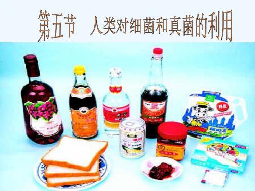 生物人教版八年级上册人类对细菌和真菌的利用