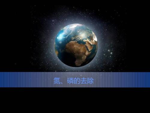 脱氮除磷
