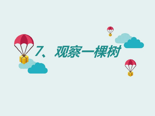 《观察一棵树》寻访校园里的动植物PPT课件4【精选推荐课件】