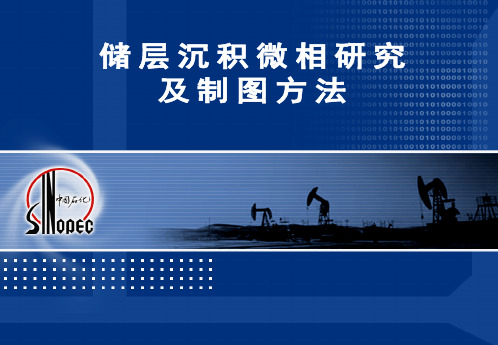 沉积微相图绘制