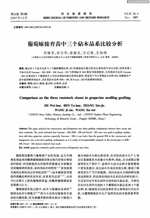 葡萄嫁接育苗中三个砧木品系比较分析