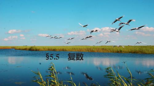2018版高考数学(浙江文理通用)大一轮复习讲义课件第五章立体几何5.5