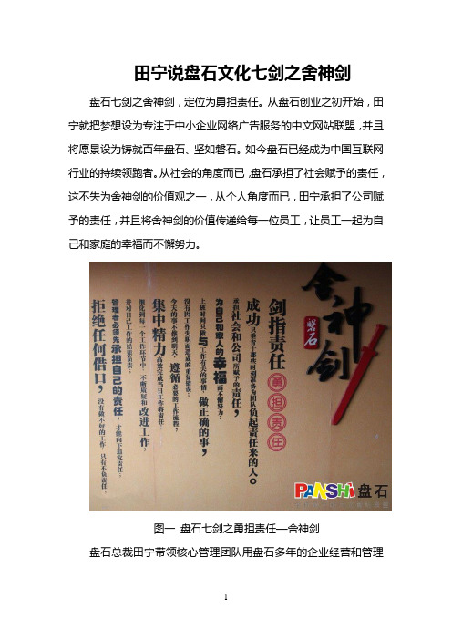 田宁说盘石文化七剑之舍神剑