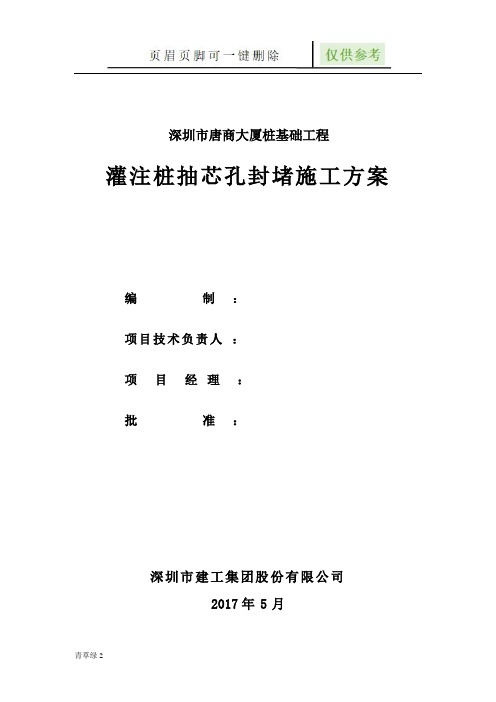 灌注桩抽芯孔封堵施工方案(资源借鉴)