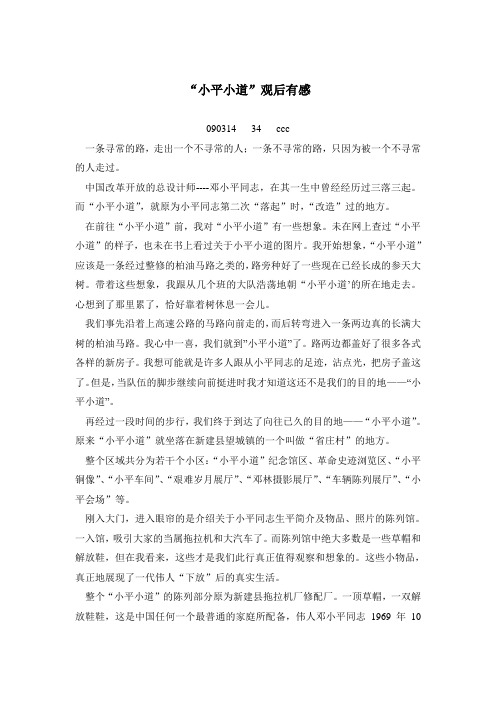 小平小道观后有感