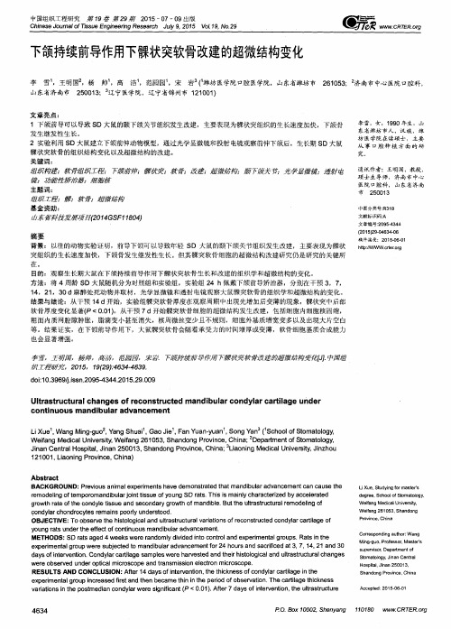 下颌持续前导作用下髁状突软骨改建的超微结构变化