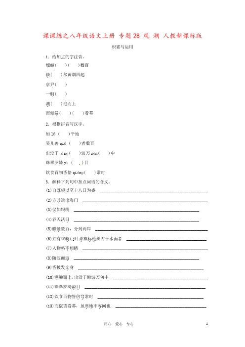 课课练之八年级语文上册 专题28 观 潮 人教新课标版