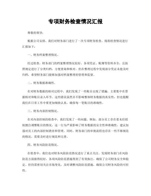 专项财务检查情况汇报