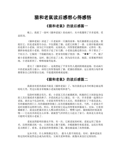猫和老鼠读后感想心得感悟