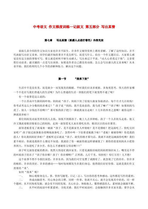 中考语文 作文梯度训练—记叙文 第五部分 写出真情