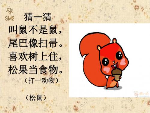 《跑进家来的松鼠》经典PPT