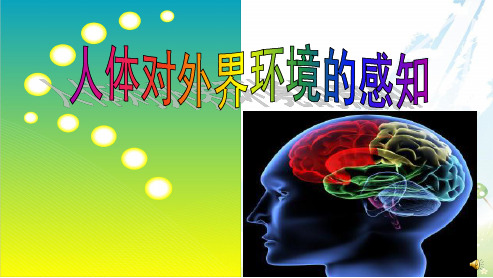 初中七年级生物下册人教版生物学第六章第一节人体对外界环境的感知ppt课件