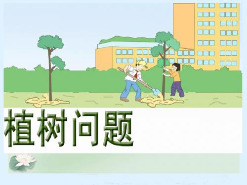最新青岛版《植树问题》教学课件