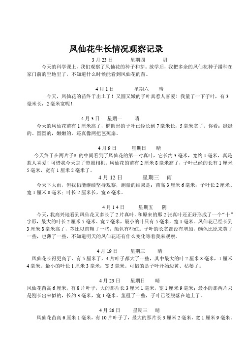 凤仙花生长情况观察记录