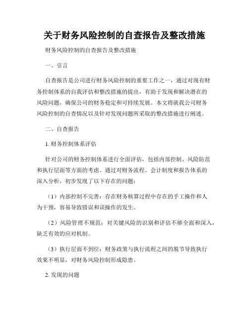 关于财务风险控制的自查报告及整改措施