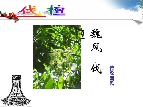 魏风伐檀