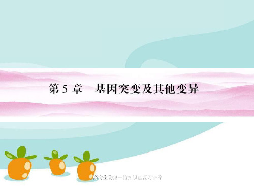 高考生物第一轮知识点复习课件