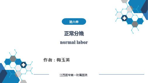 全科第十二章正常分娩