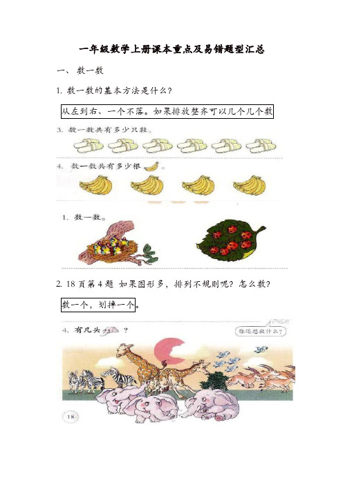 一年级上数学试题-期末复习：课本重点及易错题 人教新课标