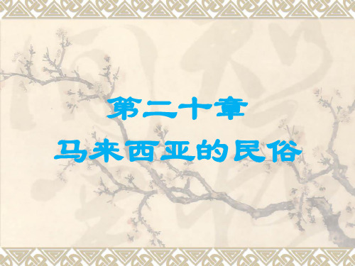 第20章马来西亚的民俗