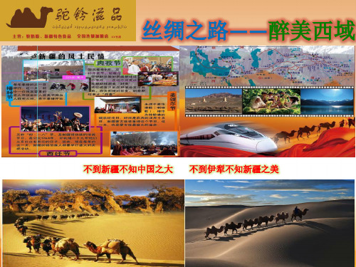 驼奶健康讲座课件《新》