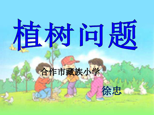 植树问题复习课件