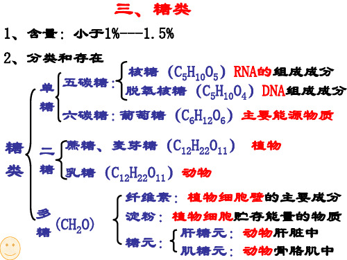 高二生物细胞的化学成分2(新编201910)