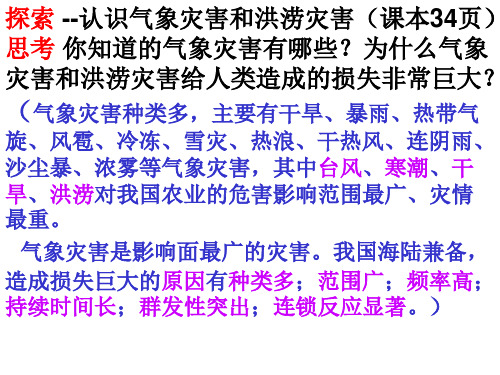 高二地理中国的气象灾害和洪涝灾害(PPT)5-3