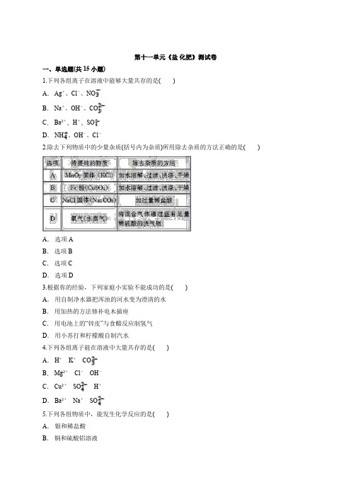 2021年初中九年级中考化学三轮冲刺复习第十一单元《盐 化肥》测试卷