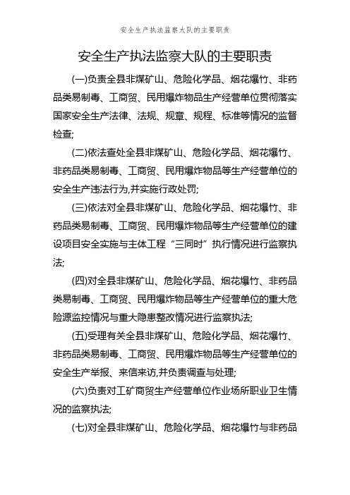 安全生产执法监察大队的主要职责