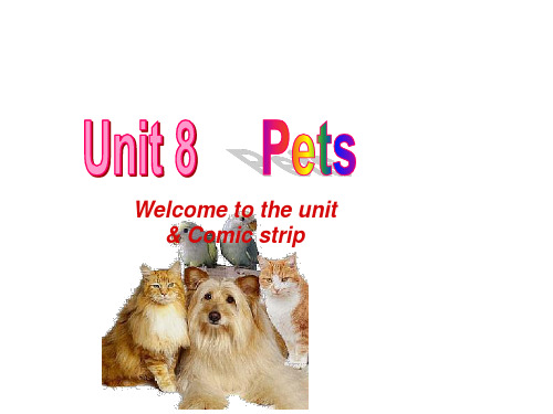 7B unit 8 精品课件