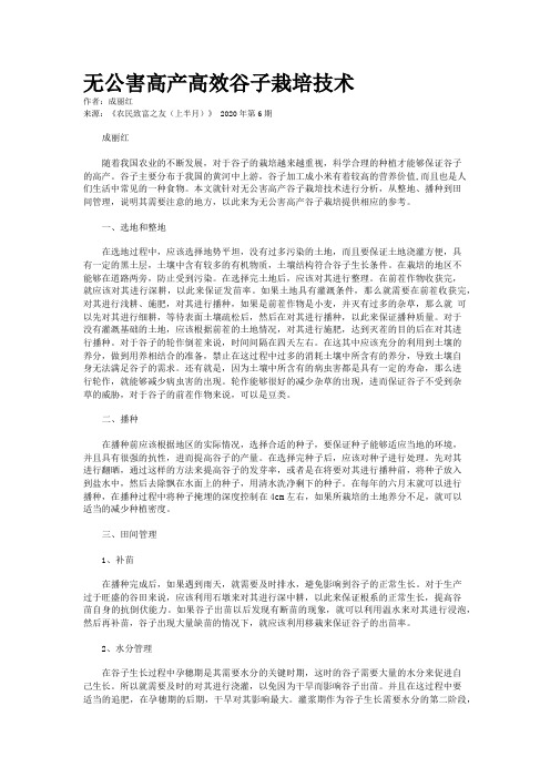 无公害高产高效谷子栽培技术