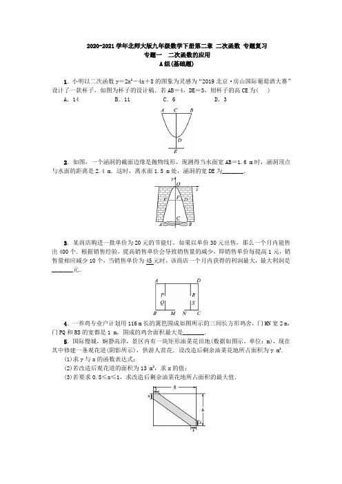 2020-2021学年九年级数学北师大版下册第二章 二次函数 专题复习(含答案)