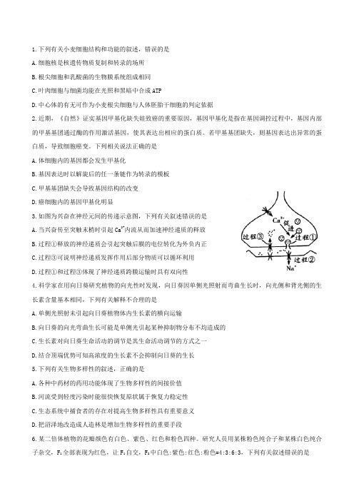 高考生物6+4+1限时训练(5)