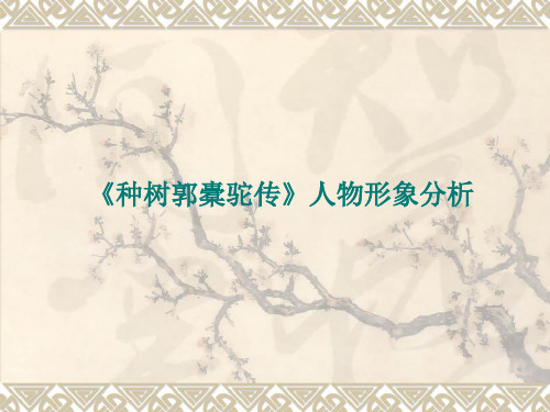 《种树郭》公开课课件