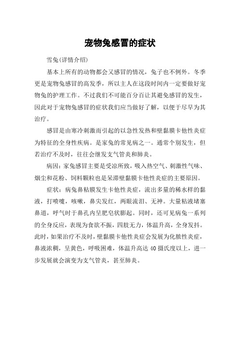 宠物兔感冒的症状