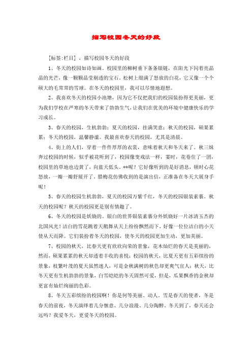 描写校园冬天的好段