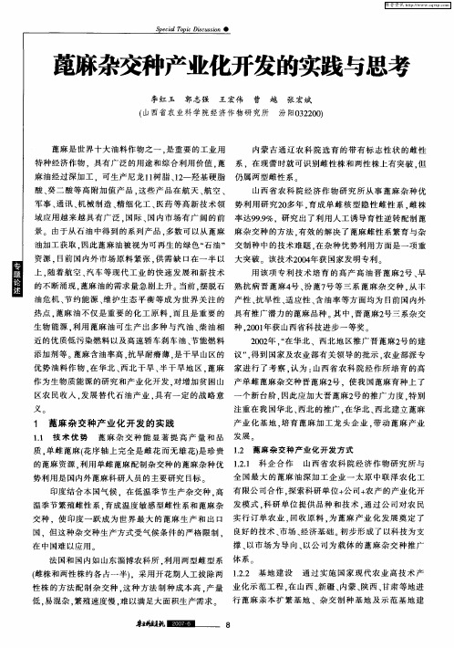 蓖麻杂交种产业化开发的实践与思考
