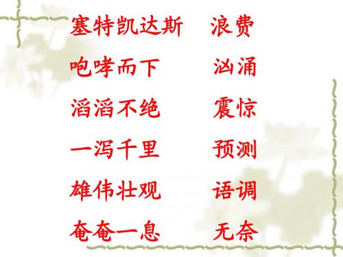 特殊的葬礼课件