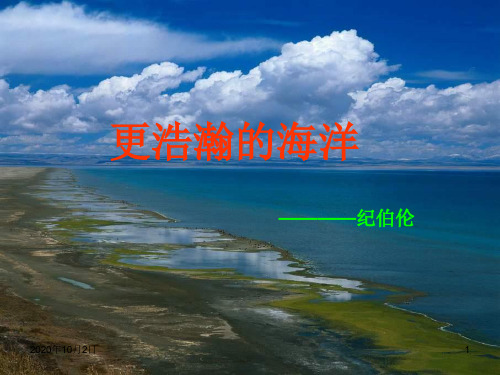 语文版九下《更浩瀚的海洋》PPT课件
