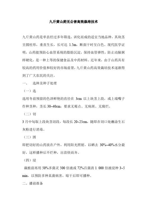 九斤黄山药无公害高效栽培技术