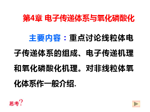 第4章电子传递体系与氧化磷酸化