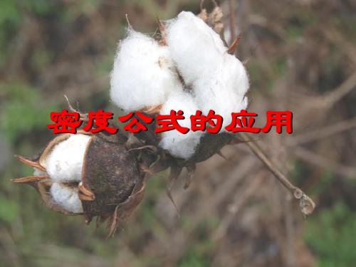 密度公式的应用