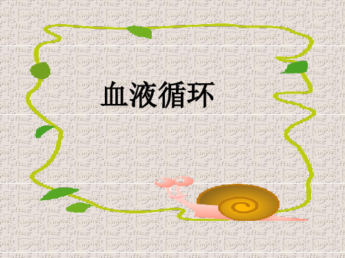 八年级生物上册血液循环