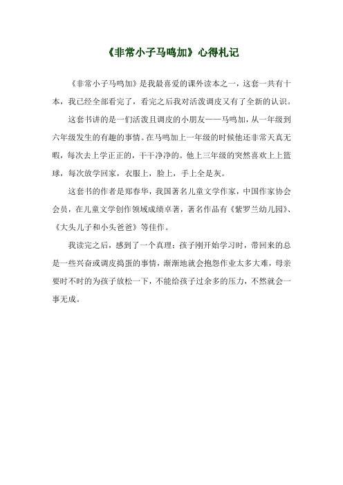 《非常小子马鸣加》心得札记