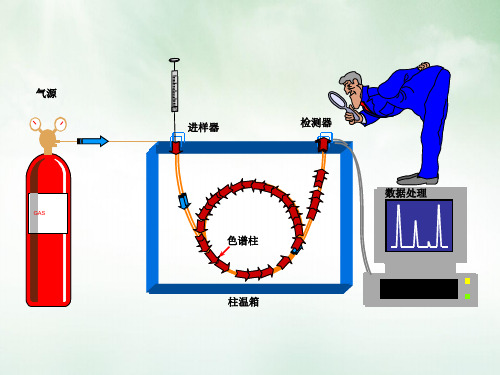 气相色谱法在中国药典中的应用课件ppt